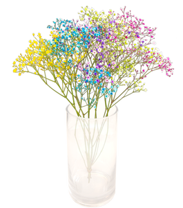 FreshFlowers Candy Floss 50cm