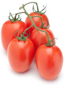 Plommetomat Nederland / Spania