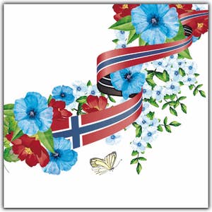 Duni Servietter til 17. mai feiring 3 lag, 33x33cm