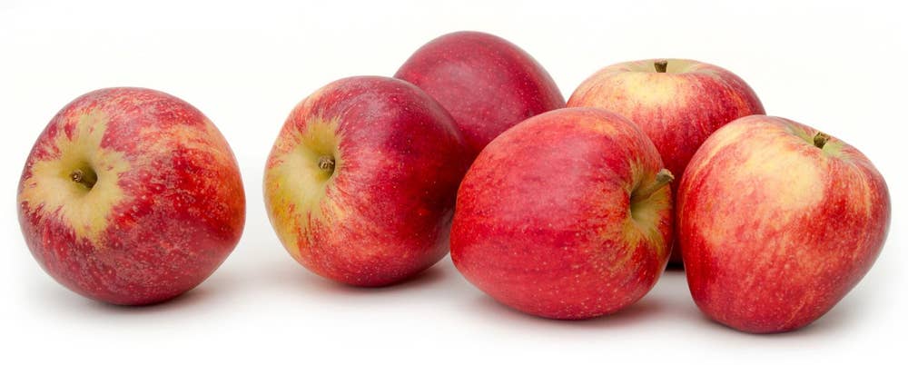 Hardanger Røde epler Aroma/ Gravenstein/ Rubin step Norge