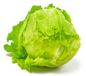 Stor Isbergsalat Nederland / Spania