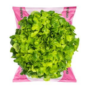 Onna Kjekkas grønn ekeblad Norge