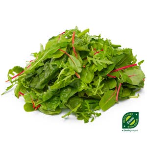 Hørte Gård Salat Mix, økologisk, 75 gram Italia