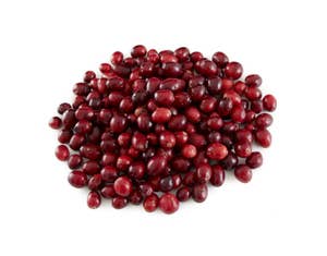 Tranebær Canada/ USA