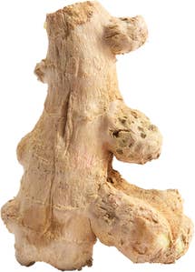 Ingefær Kina / Thailand