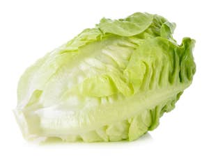 Økologisk Hjertesalat Spania / Nederland