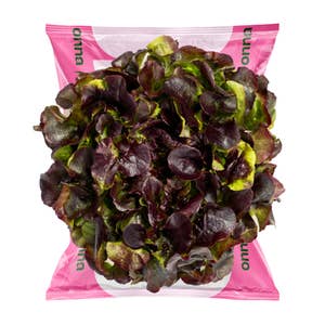 Onna Sassy Red Oak Norge