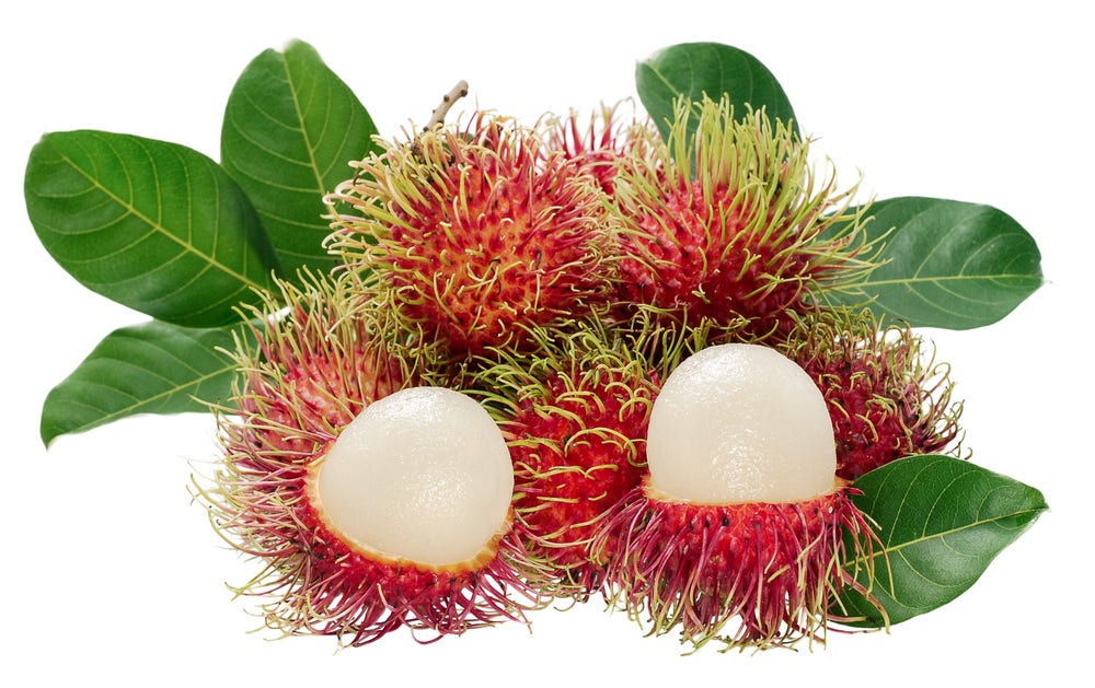 Rambutan Indonesia / Guatemala