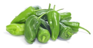 Paprika Padron Marokko / Nederland