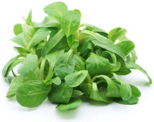 Huseby Gaard Feldsalat Denmark