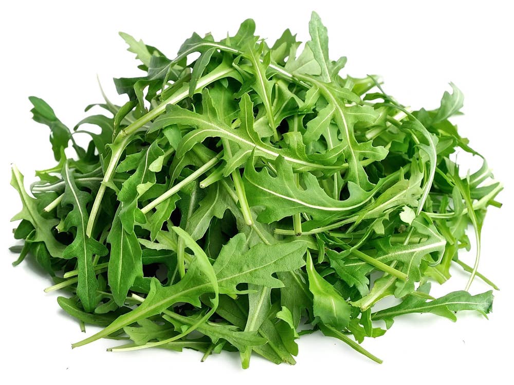 Økologisk Ruccula Italia