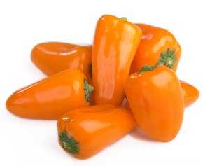 Orange mini Paprika, ekstra søte Marokko / Spania