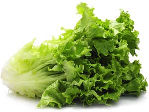 Huseby Gaard Romano Grønn Spania