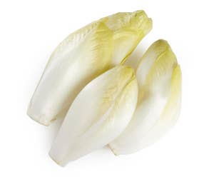 Sikori/ Endive salat Nederland