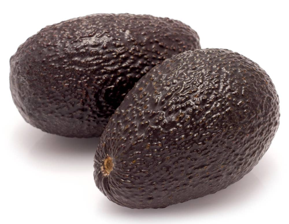 Avokado modnet Chile / Colombia / Kenya