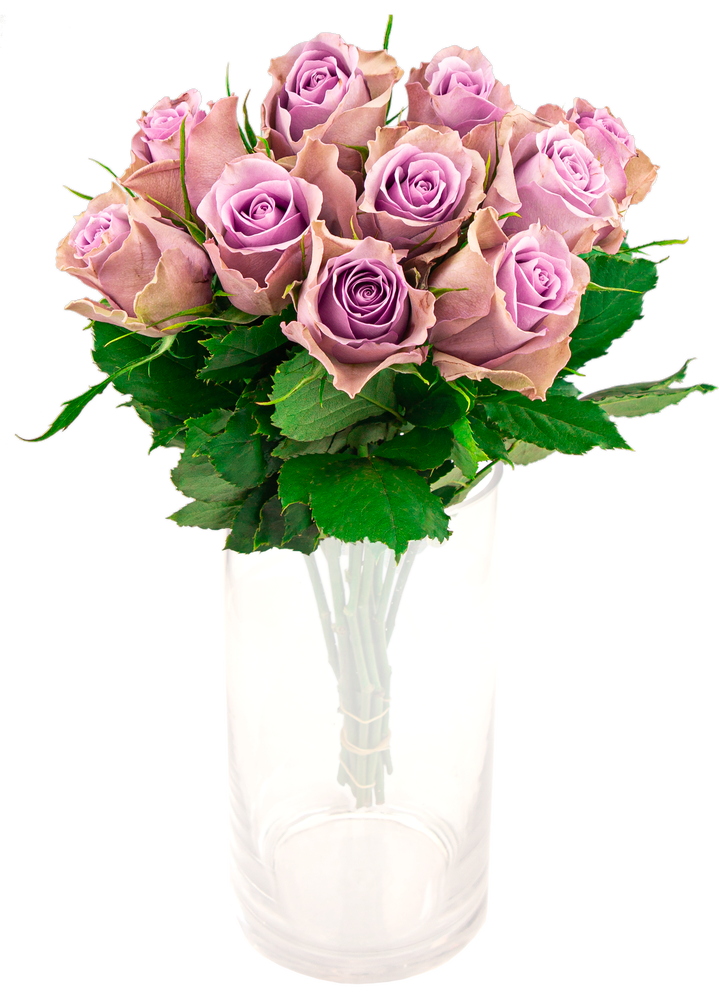 FreshFlowers Nightingale roser lilla 50cm