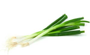 Vårløk i Bunt Italia / Tyskland / Egypt