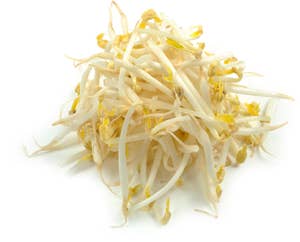 Økologiske Bønnespirer Norge