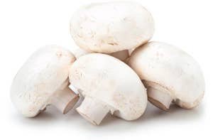 Små Champignon Kurv, Polen