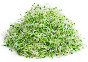 Økologiske Brokkolispirer Norge