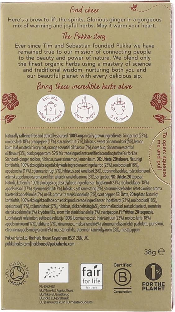 Pukka Winter warmer 20 teposer