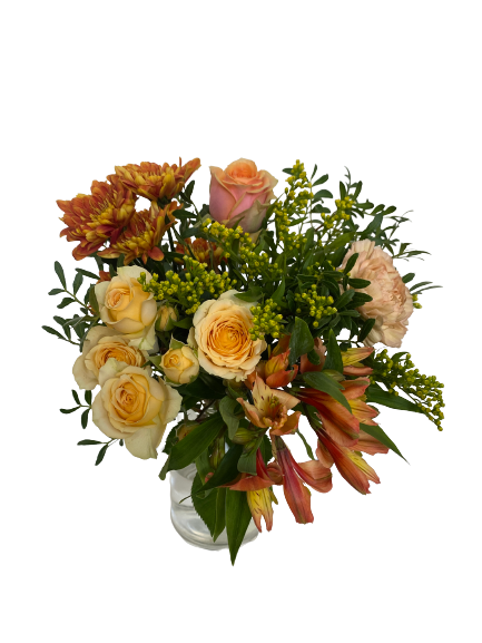 Botanik Botaniks Fargerike