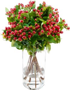 MIMEA Hypericum 47cm