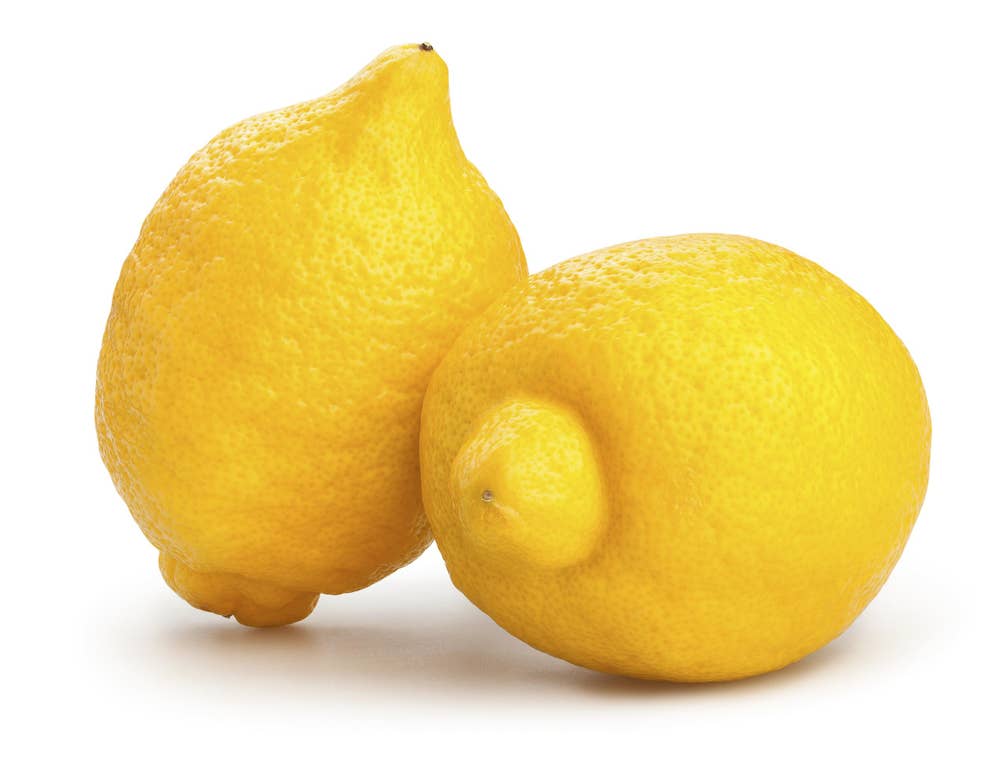 Økologiske Sitroner Spania