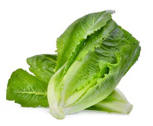 Huseby Gaard Stor hjertesalat Norge