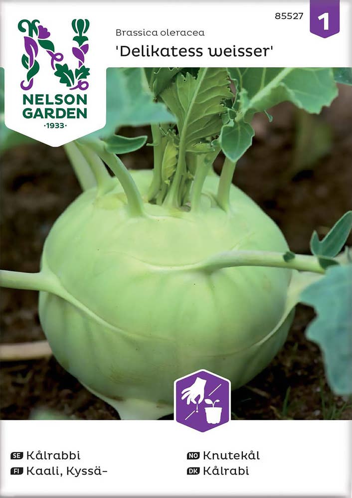 Nelson Garden Knutekål 'Delikatess Weisser' Frø