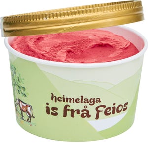 Alm Gard Økologisk bringebærsorbet