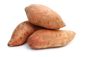 Økologisk Søtpotet Spania / Egypt