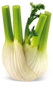 Fennikel Italia / Tyskland