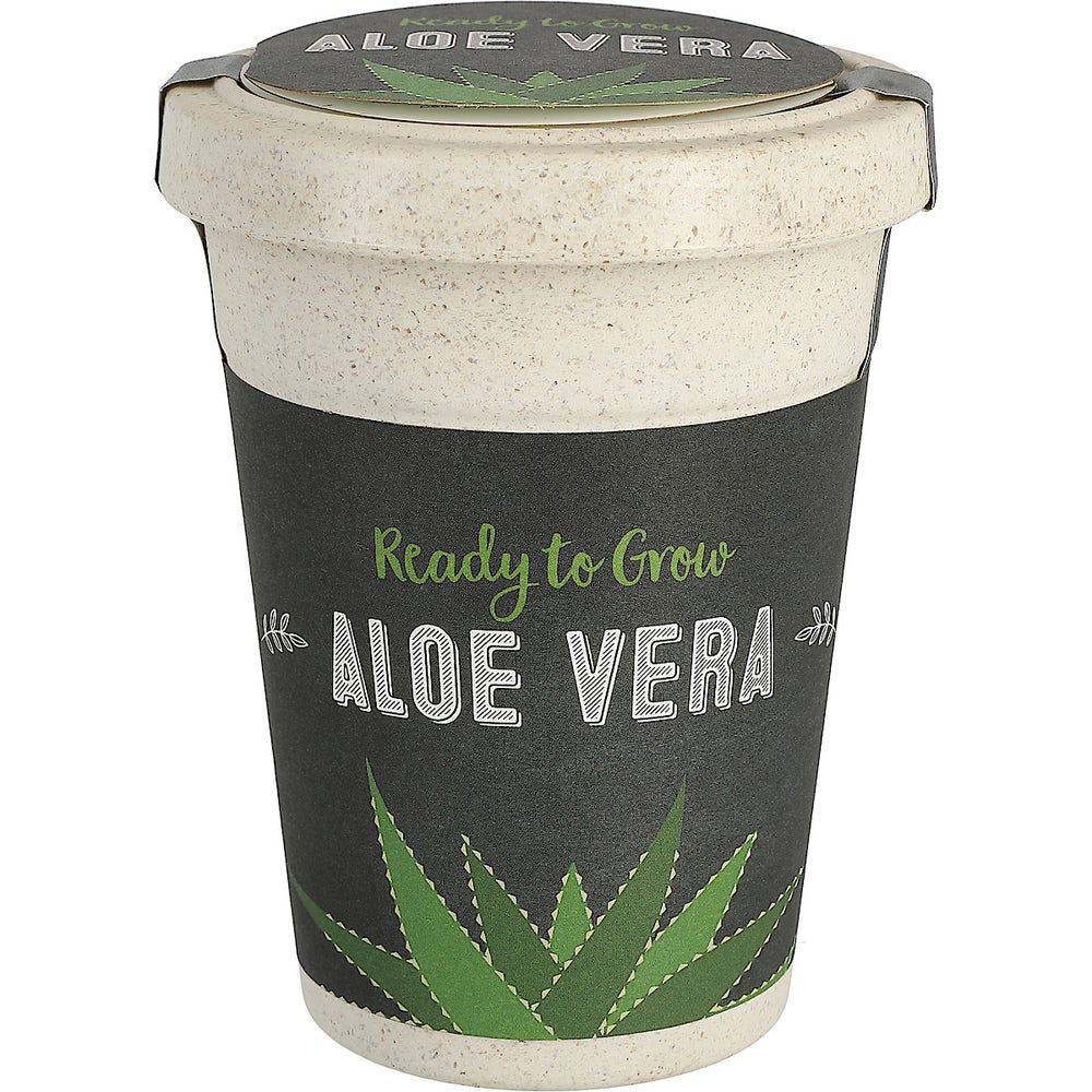 Clas Ohlson Aloe Vera i nedbrytbar krukke